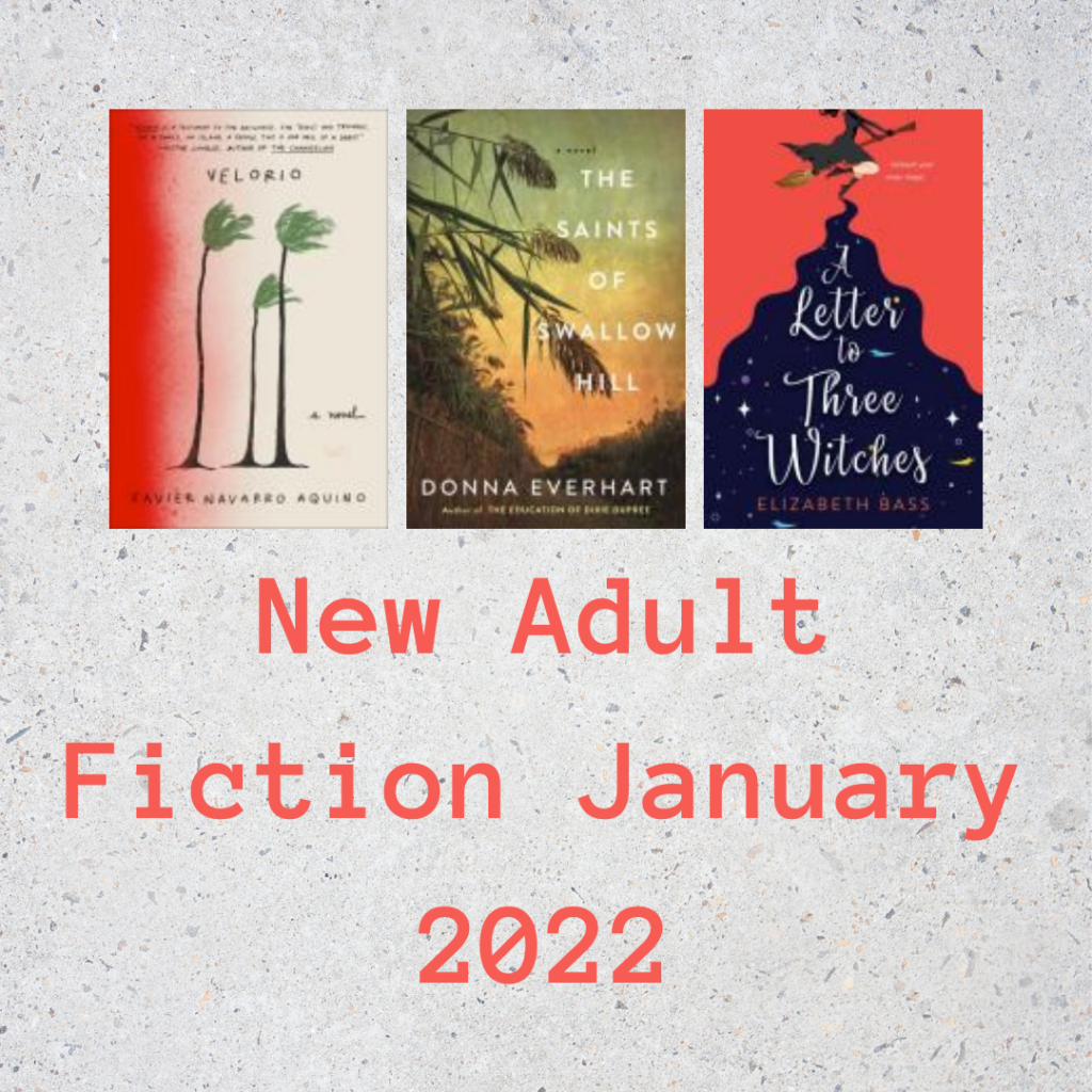 New Adult Fiction January 2022