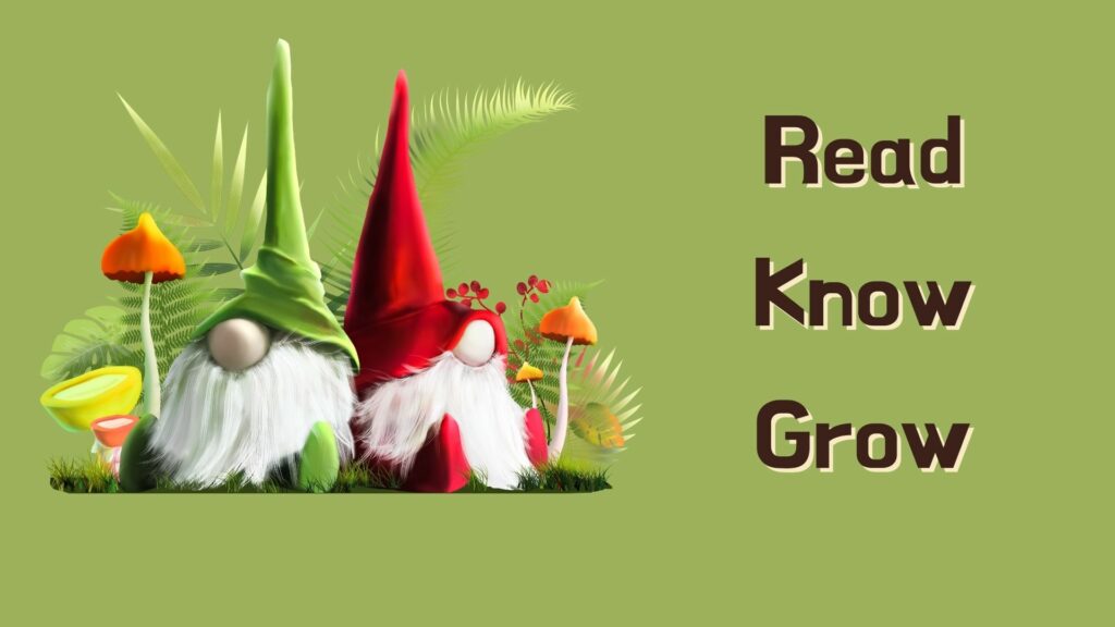 Image of Garden Gnomes with the Summer logo