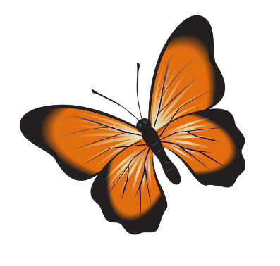 Butterfly image