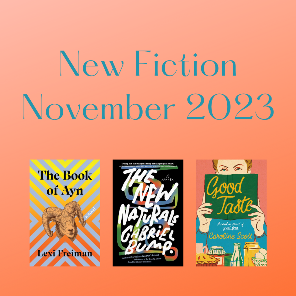 New Fiction November 20231