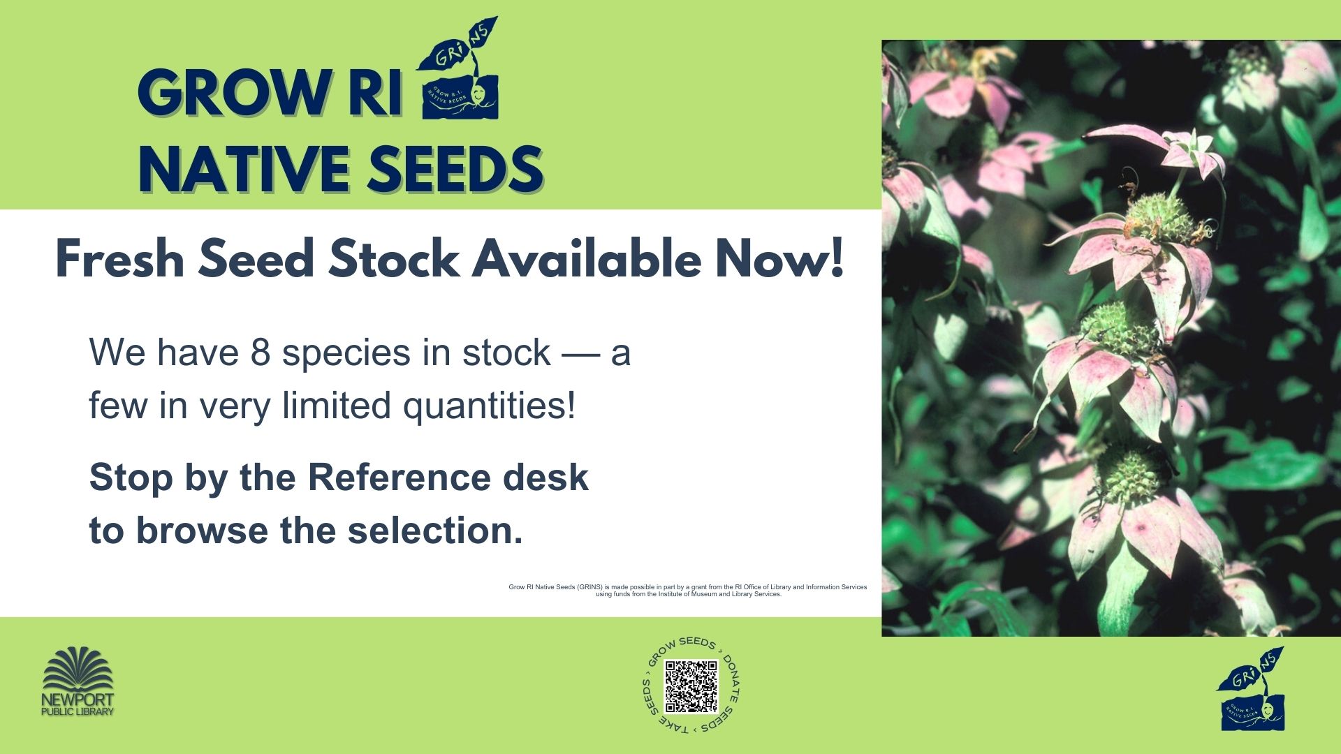 Grow RI Native Seeds