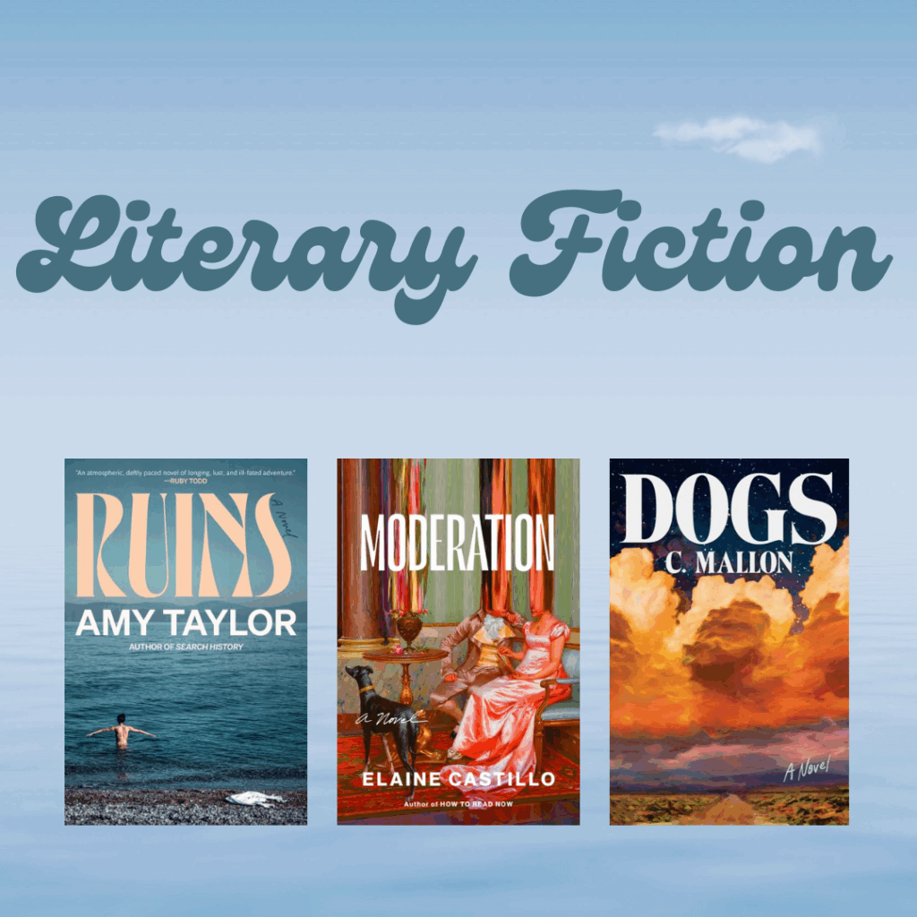New Literary Fiction 6 Literary Fiction