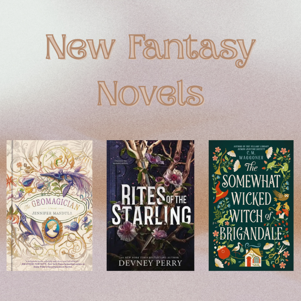 New Fantasy Novels1